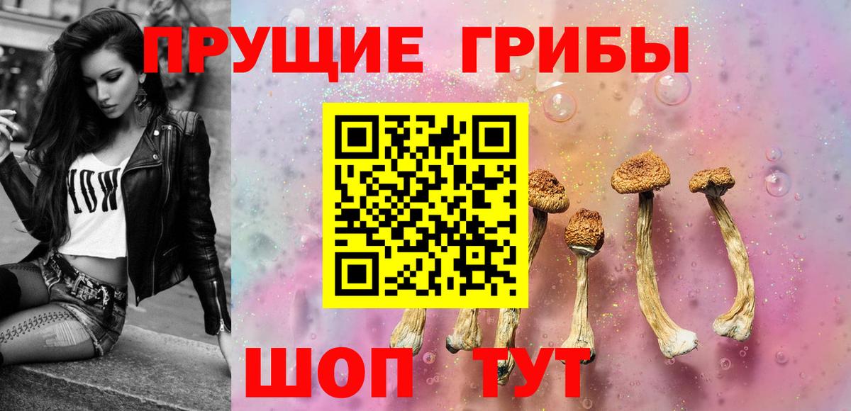 Псилоцибиновые грибы Psilocybine cubensis Каменск-Уральский
